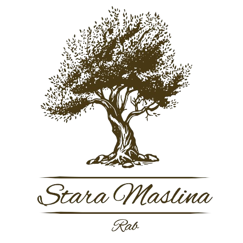 Stara maslina